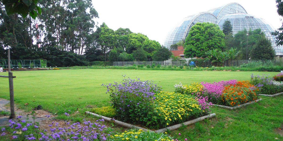 🌳 꿈의 섬 공원(유메노시마 코엔) 이미지 5